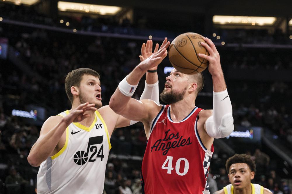 不仅提高了 不仅提高了